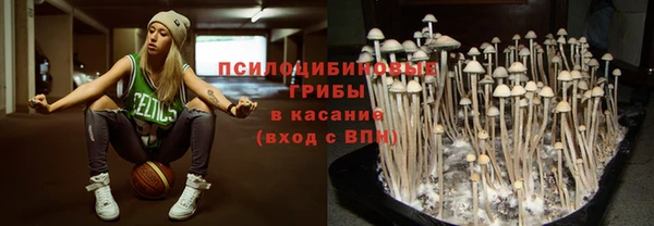 ПСИЛОЦИБИНОВЫЕ ГРИБЫ Алексеевка