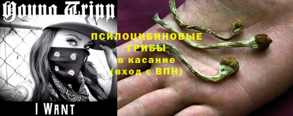 ПСИЛОЦИБИНОВЫЕ ГРИБЫ Алексеевка