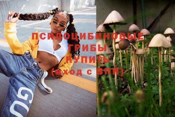 ПСИЛОЦИБИНОВЫЕ ГРИБЫ Алексеевка