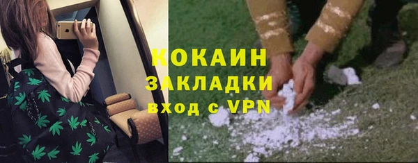 ПСИЛОЦИБИНОВЫЕ ГРИБЫ Алексеевка